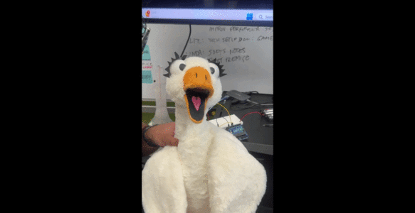 Week 15 (Apr. 20, 2026 – Apr. 24, 2026)