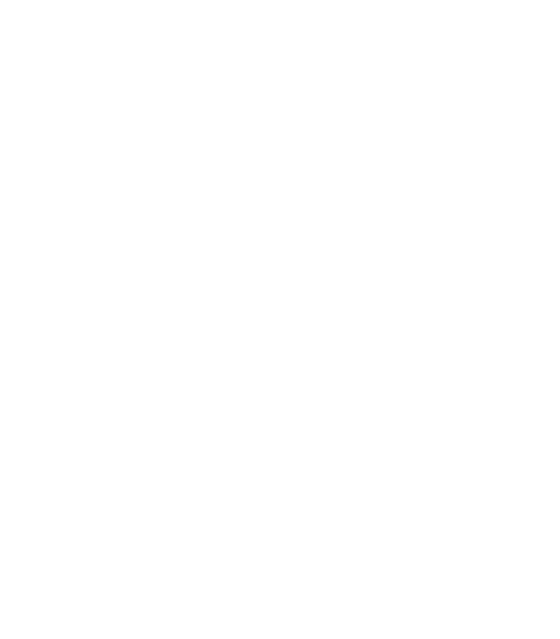Aidyn Reforged